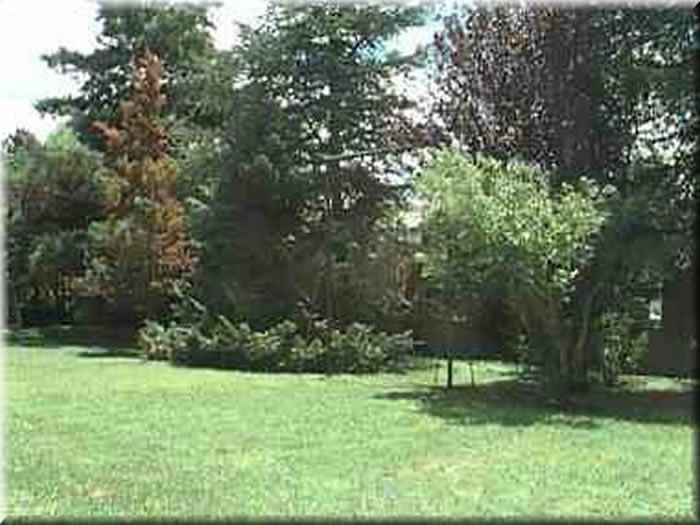 04-Parque