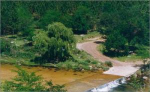ALPA CORRAL