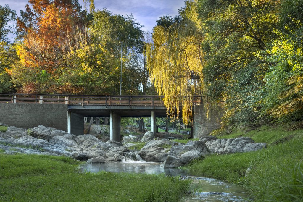 PASEO DE LOS ARROYOS