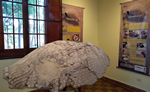 MUSEO NUMBA CHARAVA